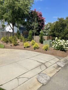 Residential neighborhood with a landscaped garden featuring young shrubs and blooming trees near a concrete driveway.