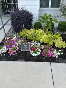 A well-maintained garden bed featuring a variety of plants and flowers with a small sign in front.