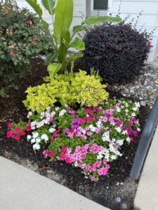 A diverse garden bed with colorful flowers and assorted plants, bordered by a sidewalk and covered with mulch.