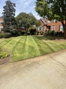 A well-manicured lawn in front of brick townhouses on a sunny day.