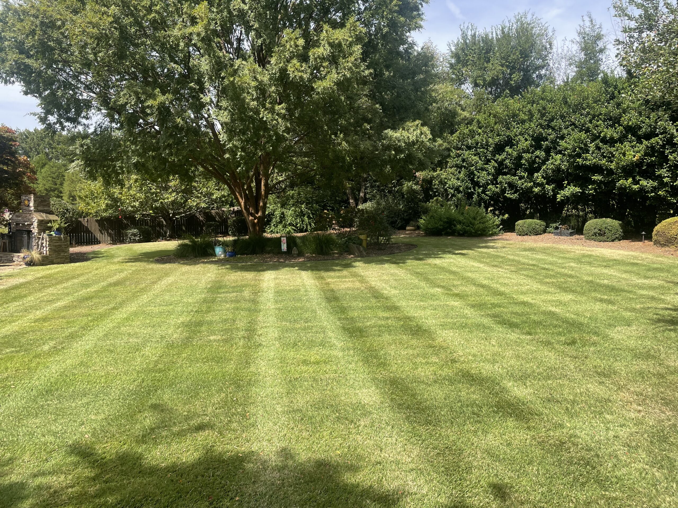 A neatly mowed lawn with visible stripes, a large tree in the center, and shrubs and trees along the background.